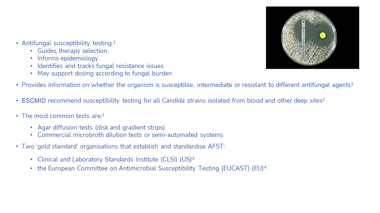 fungal diagnostic 11