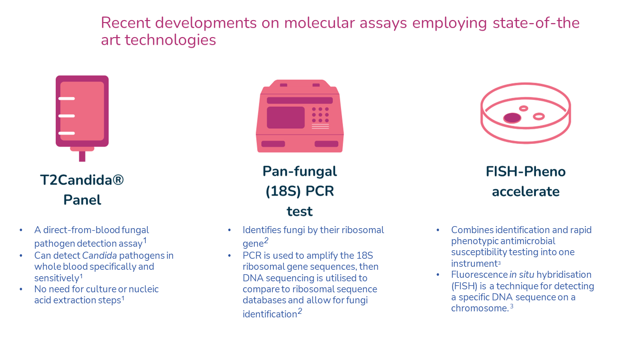 fungal diagnostic 12